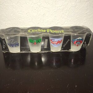Cedar Point 4pc Shot Glass Set 🎢